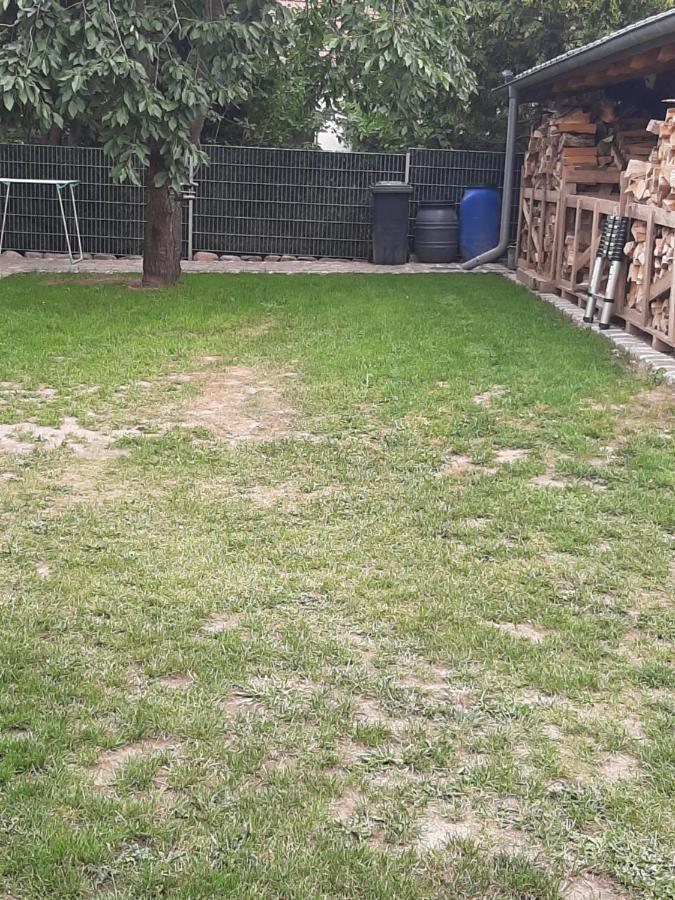 Ferienhaus Flotte Biene In Buggow Rubkow Dış mekan fotoğraf
